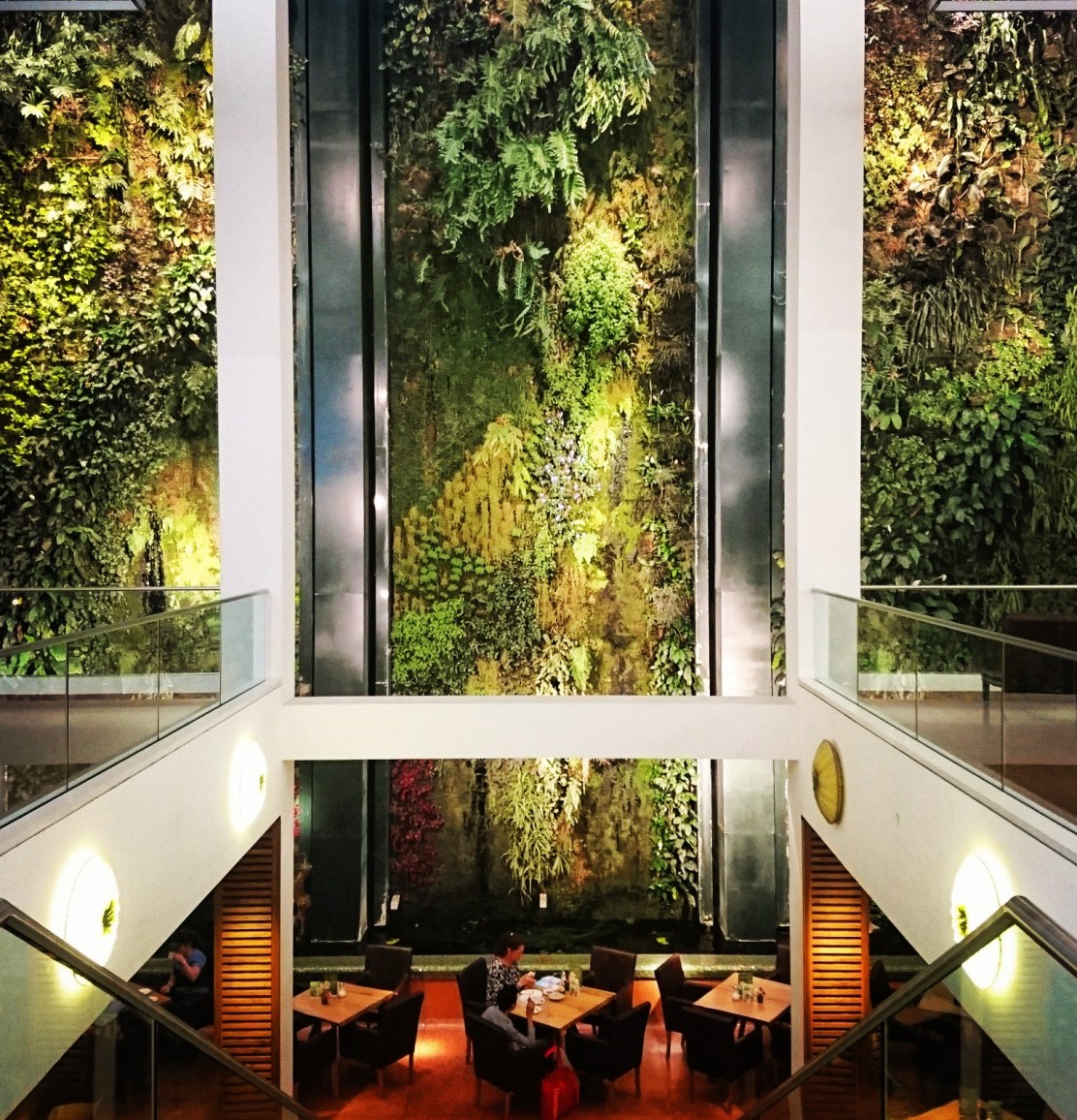 IMG_20170602_201814_516