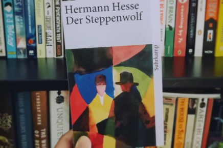Ein echter Klassiker: Der Steppenwolf (Nur für&nbsp;Verrückte)